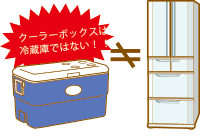 クーラーボックス