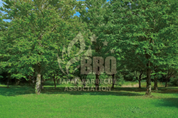 バーベキューの場所選び